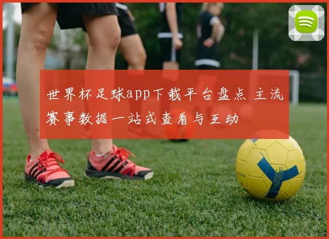 世界杯足球app下载平台盘点 主流赛事数据一站式查看与互动